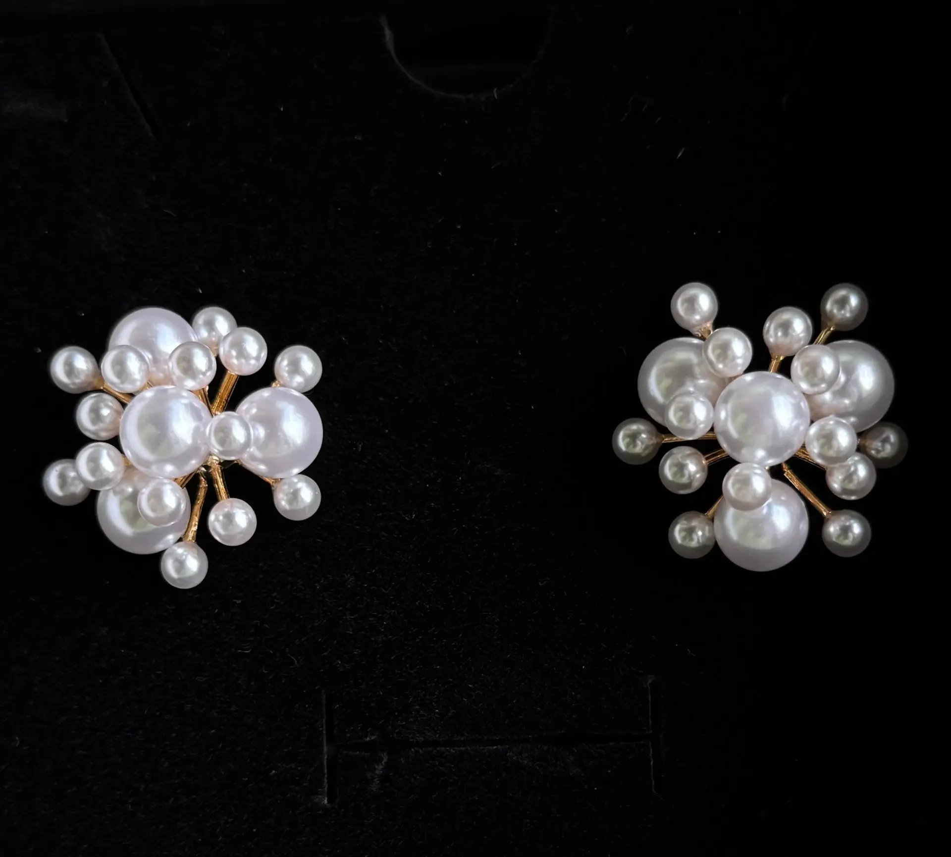 shinny earrings premium elegant