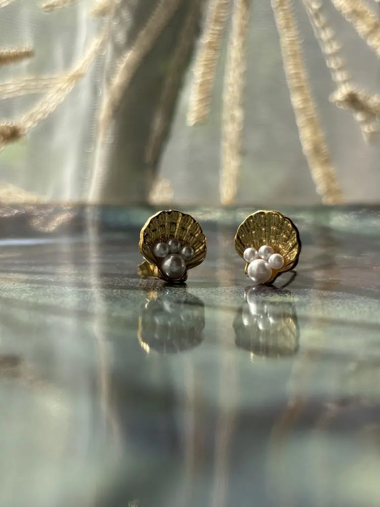 Seashell earrings