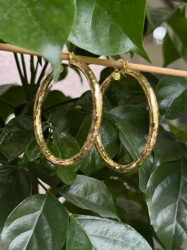 Gilded Glow Hoops