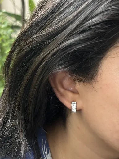 Crystal Edge Earrings