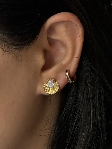 Seashell earrings